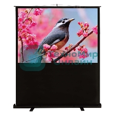 Экран Cactus 90x120 см FloorCompactExpert CS-PSFLCE-120X90 4:3 напольный рулонный