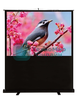 Экран Cactus 90x120 см FloorCompactExpert CS-PSFLCE-120X90 4:3 напольный рулонный