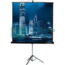 Экран на треноге Lumien 153x153см Master View LMV-100102 1:1 напольный рулонный
