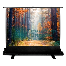 Экран Cactus 135x180 см FloorExpert CS-PSFLE-180X135 4:3 напольный рулонный