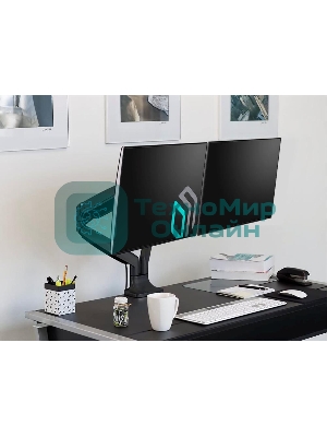 Кронштейн для 2 мониторов ONKRON G200 для монитора 13