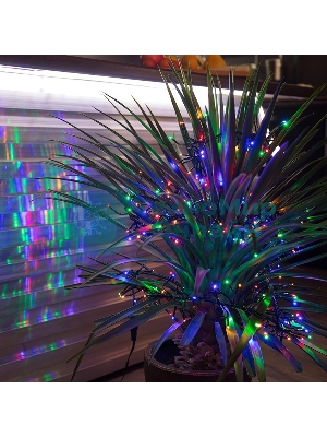 Гирлянда Neon-night 