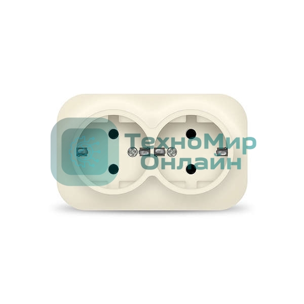 Розетка 2-м ОП 16А IP20 с заземл. сл. кость IONICH 1428