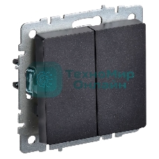 Выключатель 2-кл. СП BRITE ВС10-2-0-БрЧ 10А черный IEK BR-V20-0-10-K02