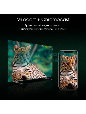 Телевизор Digma 55