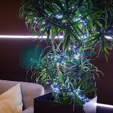 Гирлянда Neon-night 