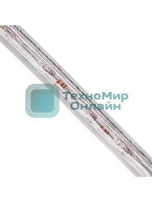 Дюралайт Neon-night LED, постоянное свечение (2W) - синий, 36 LED/м, бухта 100м