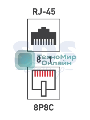 Розетка компьютерная Rexant 2-м ОП RJ45 CAT.5E бел.