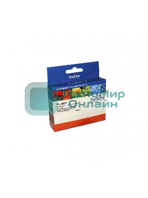 Картридж струйный ProfiLine PL-0821 для принтеров Epson StylusR270/R290/R295/R390/RX590/RX610/RX615/RX690/1410/TX700W/TX800FW/T50 Black водн