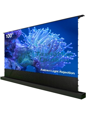 Экран Cactus 125x221 см FloorRising CS-PSFRALR-221X125 16:9 напольный рулонный черный (моторизованный привод)