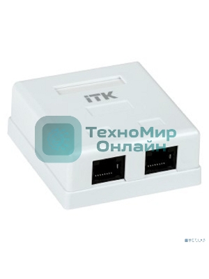 Настенная информационная розетка RJ45 8P8C, кат.5Е UTP, 2-порта, белая 