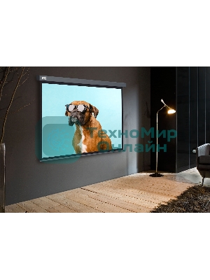 Экран Cactus 149.4x265.7см Wallscreen CS-PSW-149X265-SG 16:9 настенно-потолочный рулонный серый