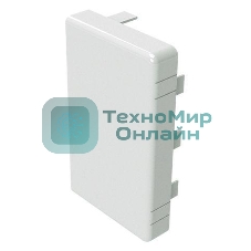 Заглушка для кабель-канала LAN 100х40 ДКС 00873