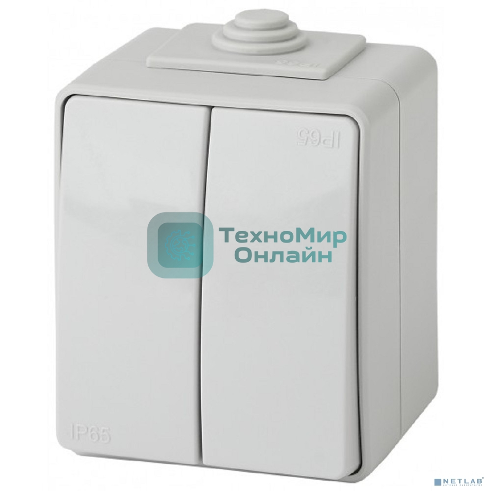 Выключатель 2-кл ОУ IP65 ЭРА 11-1604-03 Эксперт серый