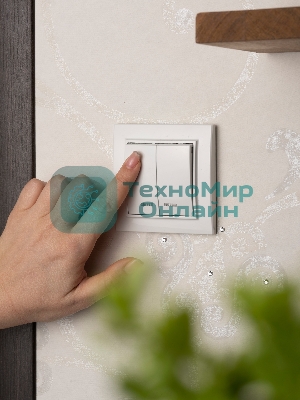 Выключатель 2-клавишный СП с индикатором,10А, белый EKF Basic Минск