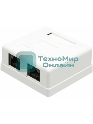 Розетка TWT (TWT-SM2-4545-WH) настенная 2 порта RJ-45 категории 5е. UTP. белая