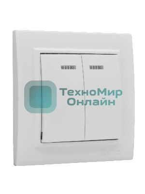 Выключатель 2-клавишный СП с индикатором,10А, белый EKF Basic Минск