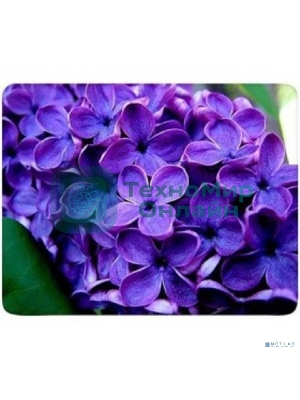 Коврик для мыши Buro BU-M20049 рисунок/сирень
