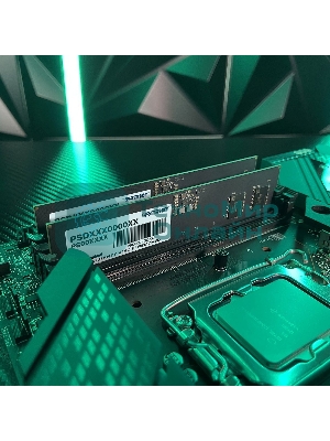 Оперативная память Patriot Signature, DDR5, 8GB (1x8 GB), 5600 MHz, CL46, DIMM