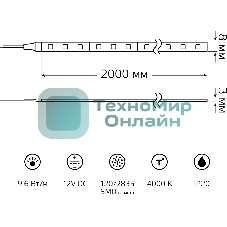 Лента светодиодная Basic Gauss 12V 9,6W/m 624lm/m 4000K IP20 LED 2m 1/100