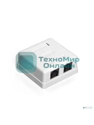 Розетка компьютерная двойная ExeGate SM2-RJ45-C6 RJ-45 кат.6 UTP Krone/110