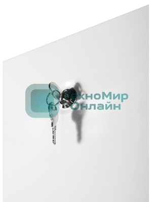 Шкаф телекоммуникационный напольный ЭКОНОМ 42U (600 × 800) дверь металл 2 шт.