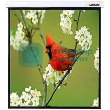Экраны LUMIEN LUMIEN Master Picture LMP-100129 220*220 1:1, черная кайма по периметру