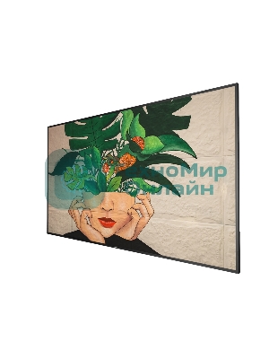 LED панель Philips 65BDL4511D/00 65 D-Line, UHD, 24/7 landscape & portrait, 500cd, Failover, USB Player, CMND&Control, LAN, OPS