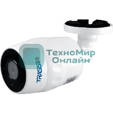 Видеокамера IP Trassir TR-D2121IR3W 3.6-3.6мм цветная
