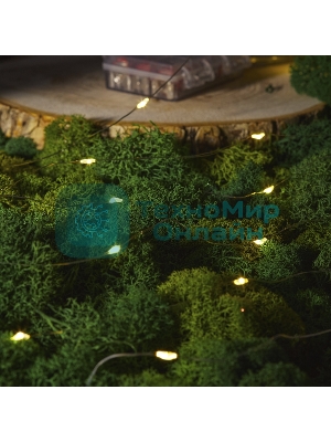 Гирлянда Neon-night Роса с контроллером 20м, 200 LED, IP20, 230В, зеленый провод, теплое белое свечение