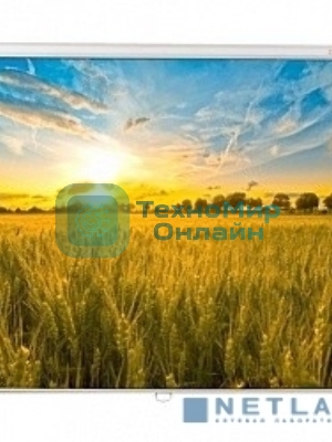 Экран Lumien 160x160 см Eco Picture LEP-100105 1:1 настенно-потолочный рулонный