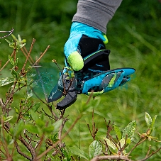 Секатор с наковальней Palisad LUXE 220 мм, регулировка захвата, трехкомпонентные рукоятки