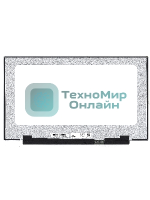 Матрица LQ173M1JW03