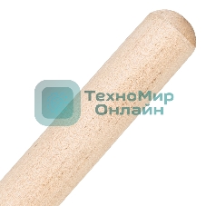 Грабли Сибртех веерные 20 зубьев, с черенком, оксидированные, плоский зуб