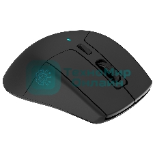 Мышь беспроводная Acer OMR150 черный, 1600 dpi, радиоканал, USB, кнопки - 6