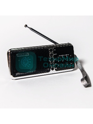Радиоприемник портативный Сигнал РП-226BT черный/серебристый USB microSD