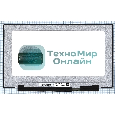 Матрица LQ173M1JW03