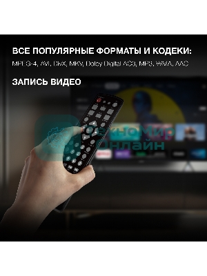 Цифровой TV ресивер HYUNDAI H-DVB240 черный