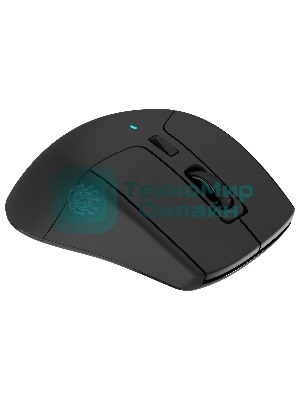 Мышь беспроводная Acer OMR170 черный, 1600 dpi, радиоканал, Bluetooth, USB, кнопки - 6