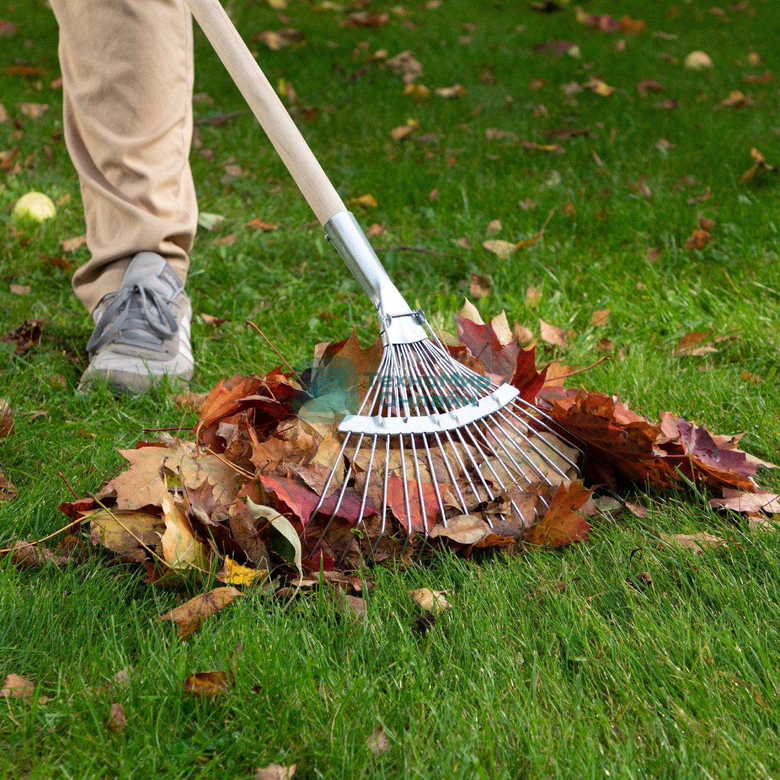 Грабли веерные стальные Сибртех 350 мм, 18 круглых зубьев, оцинкованные, без черенка