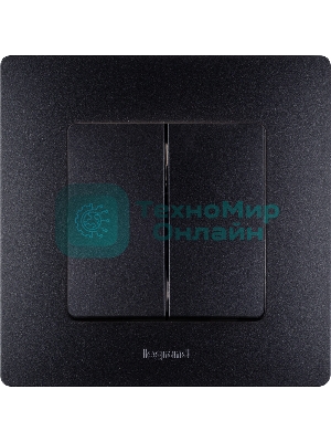 Выключатель двухклавишный, автоматические клеммы, Etika, 10AX, 250В~, антрацит Выключатель двухклавишный, автоматические клеммы, Etika, 10AX, 250В~, антрацит