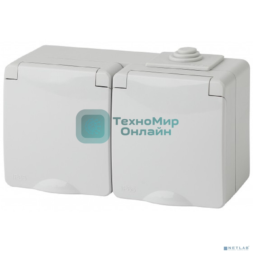 Розетка ЭРА 11-2603-03 2x2P+E гориз. IP65, 16A-250В, ОУ, серый