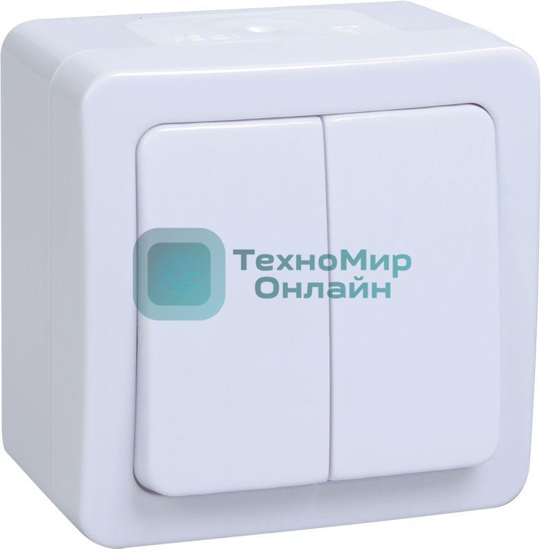 Выкл 2кл о/у IP54 (цвет клавиши:белый) ГЕРМЕС PLUS IEK EVMP20-K01-10-54-EC ВС20-2-0-ГПБ