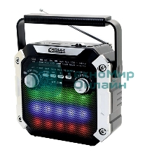 Радиоприемник портативный Сигнал РП-228 черный USB microSD