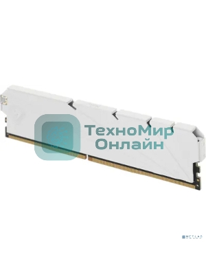 Оперативная память NETAC, DDR4, 8GB (1x8GB), 3200MHz, CL16, DIMM, с радиатором, белый