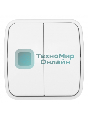 Выключатель 2-клавишный ОП 10А белый Минск EKF Basic
