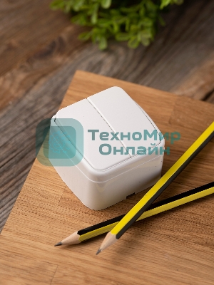 Выключатель 2-клавишный ОП 10А белый Минск EKF Basic