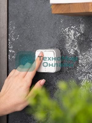 Выключатель 2-клавишный ОП 10А белый Минск EKF Basic