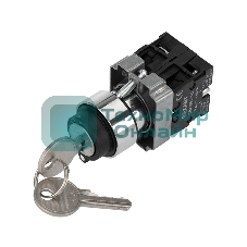 Переключатель Rexant BD32 3P с замком NO