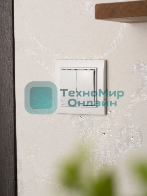 Выключатель 2-клавишный СП,10А, белый EKF Basic Минск